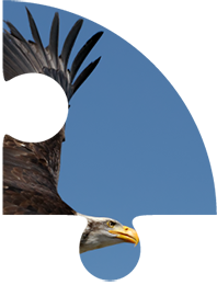 4_Bubble_Adlerblick_Teil2